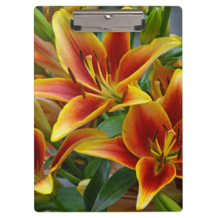 Orangefarbene und gelbe Lilien Klemmbrett