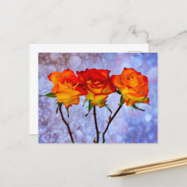 Orangefarbene und gelbe Rosen in einer Reihe von P Postkarte