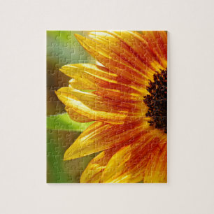 Orangefarbene und gelbe Sonnenblumen Puzzle