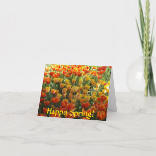Orangefarbene und gelbe Tulpen Mitteilungskarten