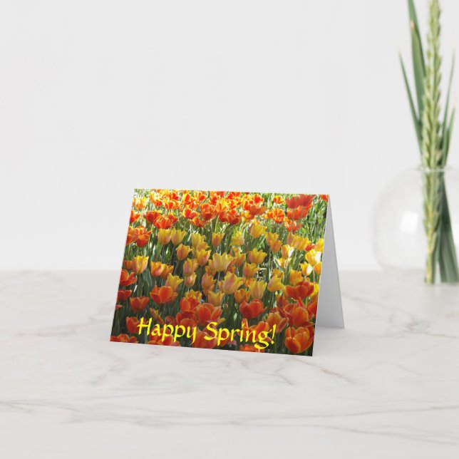 Orangefarbene und gelbe Tulpen Mitteilungskarten (Vorderseite)