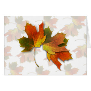 Orangefarbene und goldene Herbstblätter