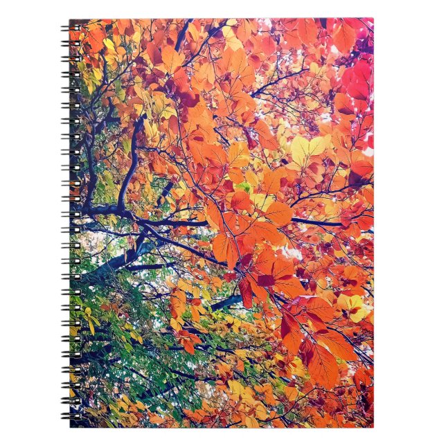 Orangefarbene und grüne Blätter Notizblock (Vorderseite)