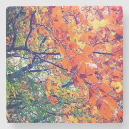 Orangefarbene und grüne Blätter Steinuntersetzer