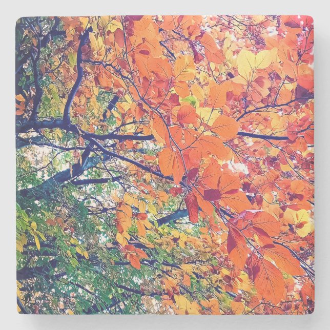 Orangefarbene und grüne Blätter Steinuntersetzer (Vorderseite)