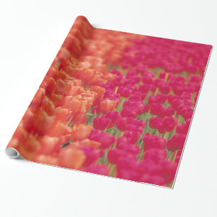 Orangefarbene und rosa Tulips Geschenkpapier