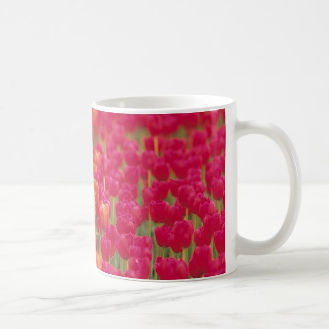 Orangefarbene und rosa Tulips Kaffeetasse (Rechts)