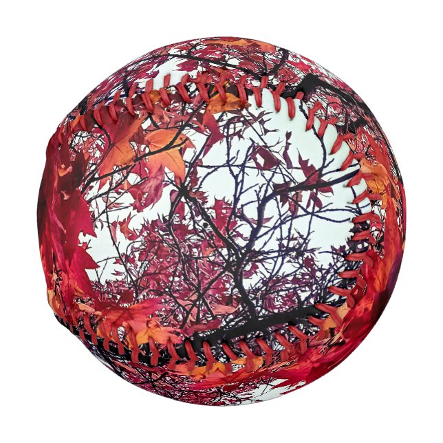 Orangefarbene und rote Blätter Baseball (Vorne Rechts)