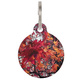 Orangefarbene und rote Blätter Haustiermarke