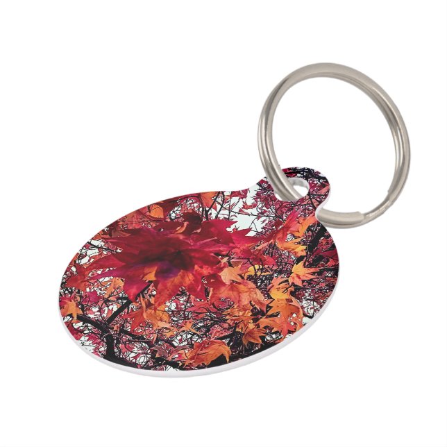 Orangefarbene und rote Blätter Haustiermarke (Seite)