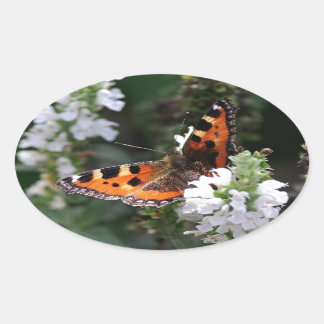 Orangefarbene und schwarze Schmetterlinge auf weiß Ovaler Aufkleber