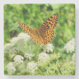 Orangefarbene und schwarze Schmetterlinge mit weiß Steinuntersetzer