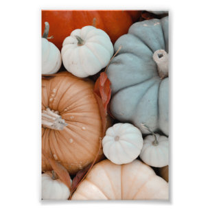 Orangefarbene weiße und blaue Pumpkins Fotodruck