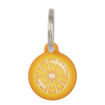 Orangefarbene Zitrusfrüchte-Slice mit individuelle