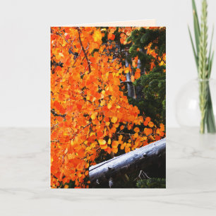 Orangefarbener Baum mit Log, unbedruckt innen Karte