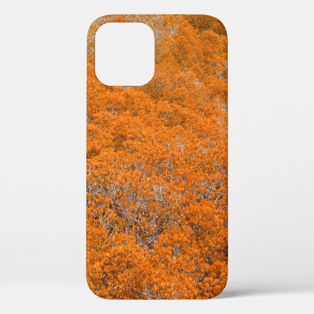 Orangefarbener Blick auf den Wald. Orangefarbener  Case-Mate iPhone Hülle (Rückseite)