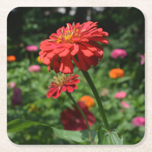 Orangefarbener Garten, Zinnia, Kosmo, Sonnenblumen Rechteckiger Pappuntersetzer