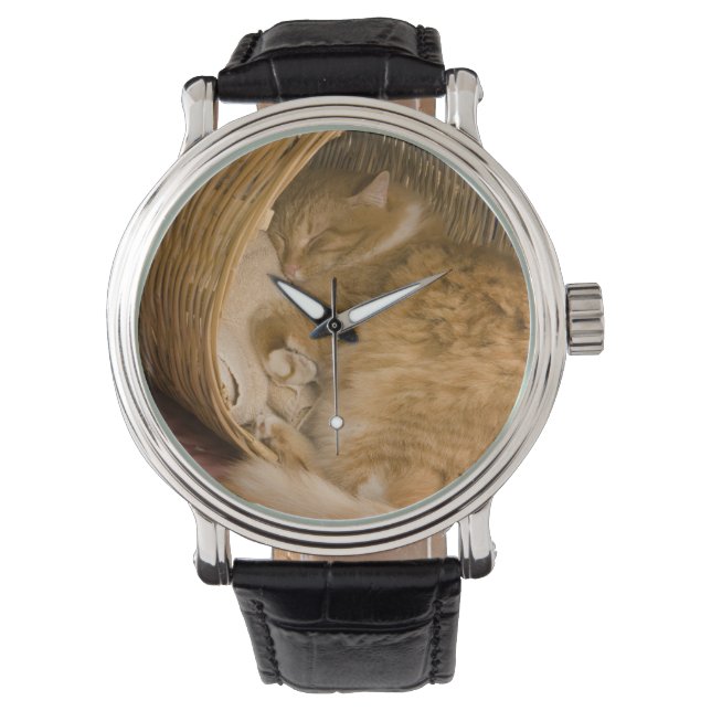 Orangefarbener Schlaf in Hürde Armbanduhr (Vorderseite)