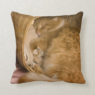 Orangefarbener Schlaf in Hürde Kissen