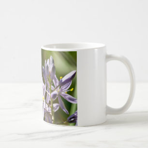 Orangefarbener Schmetterling auf wilder Hyazinthe Kaffeetasse