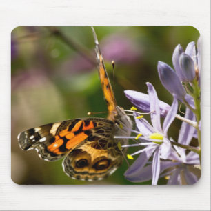 Orangefarbener Schmetterling auf wilder Hyazinthe  Mousepad