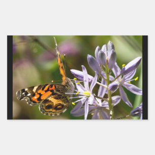 Orangefarbener Schmetterling auf wilder Hyazinthe Rechteckiger Aufkleber