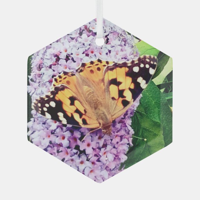 Orangefarbener Schmetterling Ornament Aus Glas (Vorderseite)