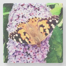 Orangefarbener Schmetterling Steinuntersetzer