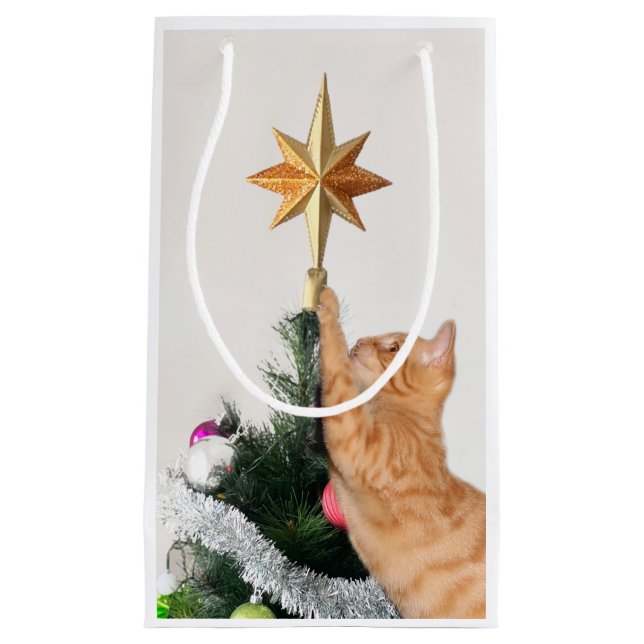Orangefarbener Tisch und Weihnachtsstern Kleine Geschenktüte (Vorderseite)