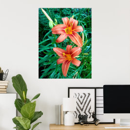 Orangefarbenes Foto mit doppelter Taglilie Blume d Poster