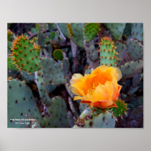 Orangefarbenes Orangenopuntia Kakteen stachelförmi Poster