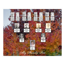 Orangefarbenes, rotes, Lila Blätterteiggebäck