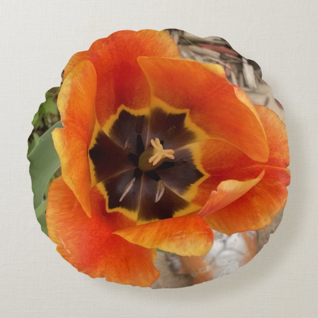 Orangefarbenes, rundes Kissen (Vorderseite)