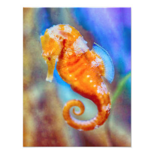 Orangefarbenes Seepferd Fotodruck