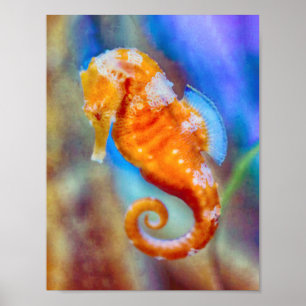 Orangefarbenes Seepferd Poster