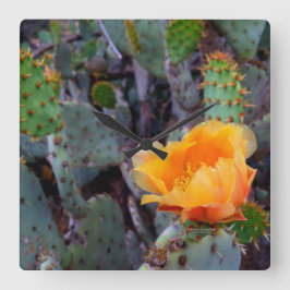 Orangefärbte Prickly-Pear-Opuntia-Kakteen Quadratische Wanduhr
