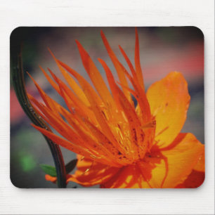 Orangelbe Blume Mousepad