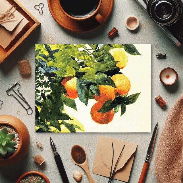 Orangen an der Zweigstelle Winslow Homer Kunsthand Postkarte (Von Creator hochgeladen)