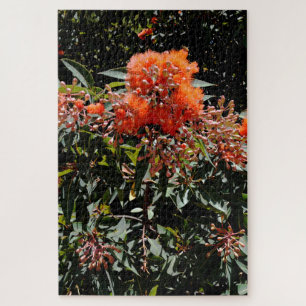 Orangen australischen Banksia-Blume und Saatgut, Puzzle