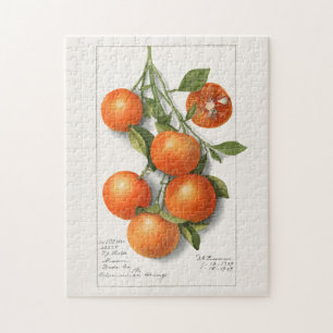 Orangen (Calamondin) Aquarellmalerei von Früchten Puzzle