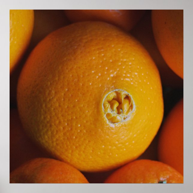 Orangen / Feinschmecker Küchenplakat Poster (Vorne)