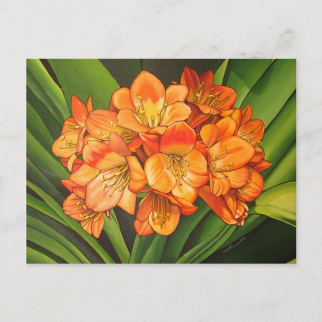 Orangen-Fleurs Postkarte (Vorderseite)