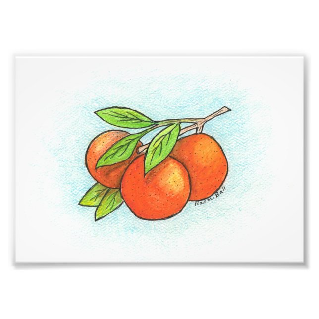 Orangen Illustration Foto Print (Vorne)