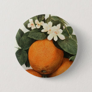 ORANGEN-Knopf Button