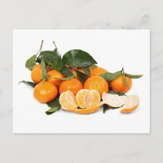 Orangen Postkarte
