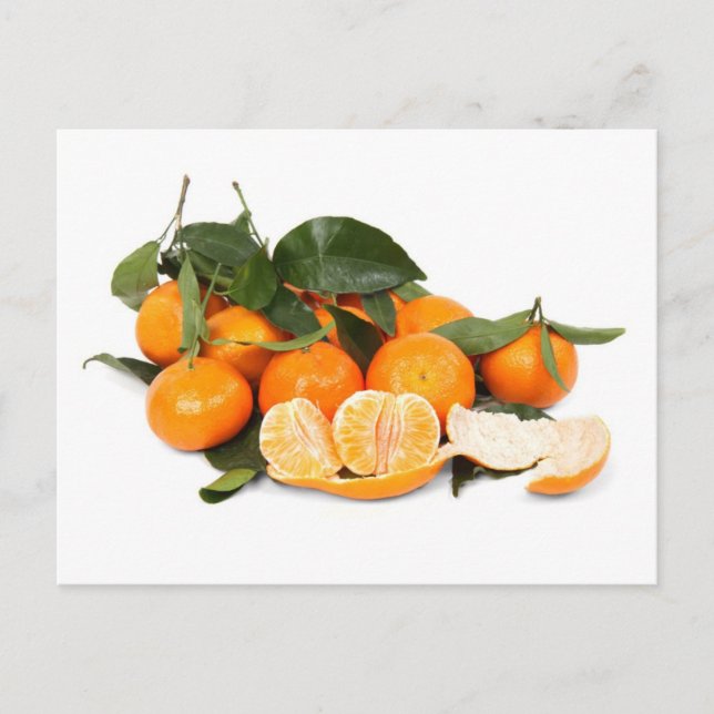 Orangen Postkarte (Vorderseite)