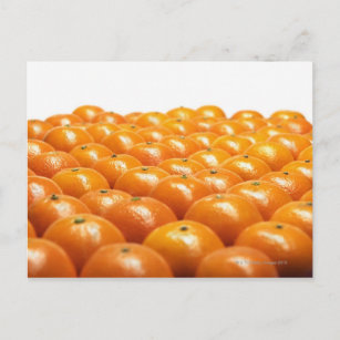 Orangen-Reihe Postkarte