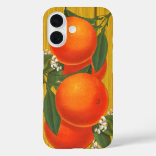 Orangen Retro Fruchtkasten Kunst iPhone 16 Hülle