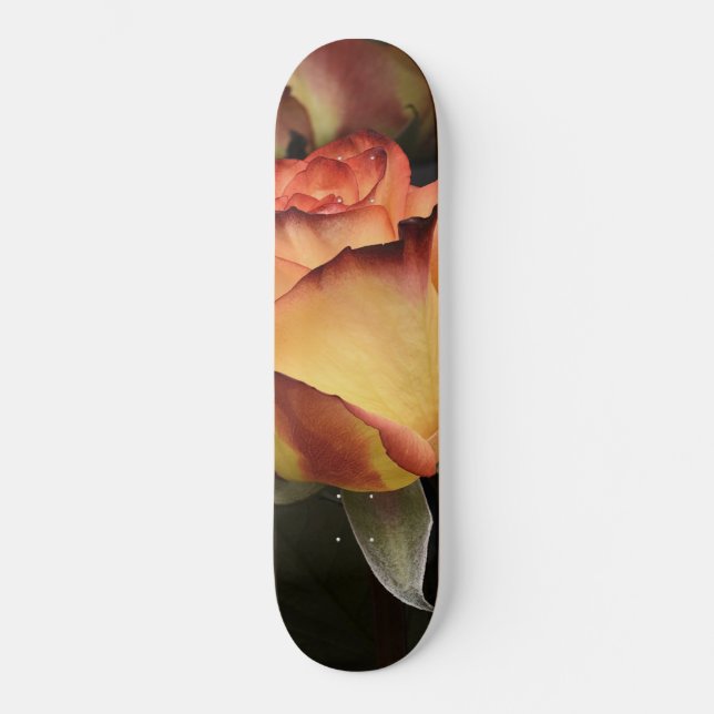 Orangen, Rot und Gelb Skateboard (Vorderseite)