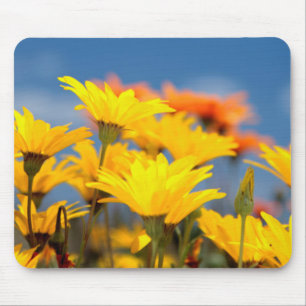 Orangen- und gelbe Namaqualand-Milcherzeugnisse Mousepad
